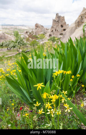 Capodocia valley , Turquie Banque D'Images