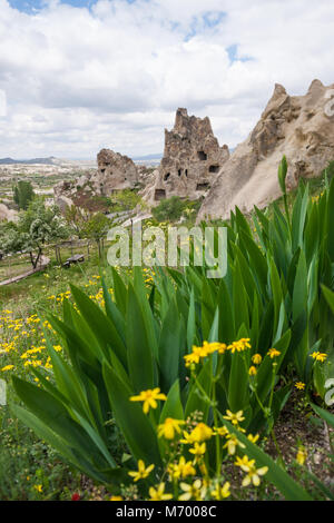 Capodocia valley , Turquie Banque D'Images