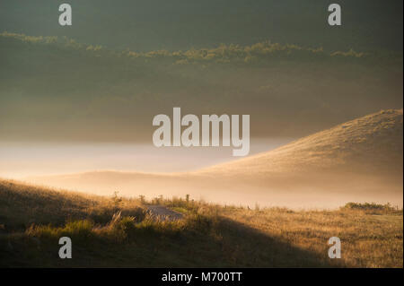 Un beau brouillard est rendant le paysage encore plus mystérieux et magique sur ce matin d'été dans les montagnes du Parc national de Lovcen Banque D'Images