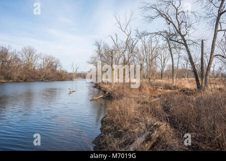 Les lagunes Skokie Banque D'Images