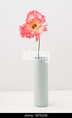 Papier crêpe unique poppy Banque D'Images