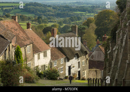 Un homme marchant sur la colline d'or, Shaftesbury, Dorset, England, UK Banque D'Images