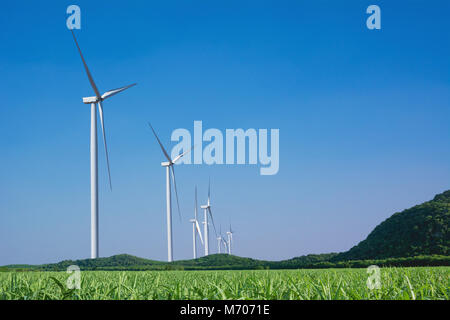 Éoliennes sous le ciel bleu. Éoliennes produisant de l'électricité. Banque D'Images