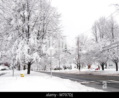 Village-rue après les chutes de neige d'effet de lac Banque D'Images