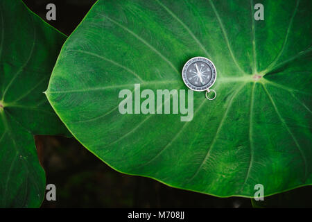 Concept d'orientation - Boussole analogique portant sur l'immense profondeur de couleur vert feuille de lotus Banque D'Images