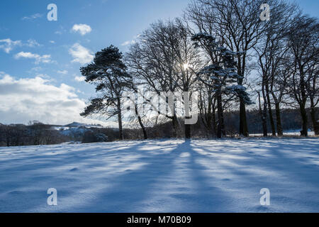 Le Conseil de l'arbre dans la neige, Hutton, Guisborough, Yorkshire du Nord Banque D'Images