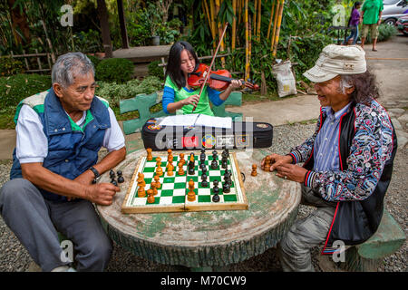Deux personnes âgées Hommes philippins se concentrer sur leur partie d'échecs tandis qu'une jeune fille jouant du violon dans ses pratiques de Burnham Park, Baguio, l'île de Luzon, Philip Banque D'Images