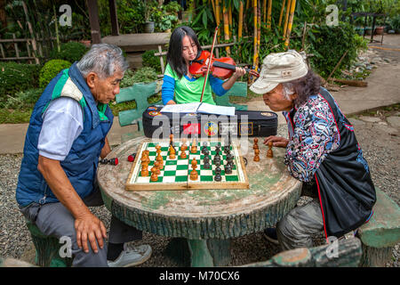 Deux personnes âgées Hommes philippins se concentrer sur leur partie d'échecs tandis qu'une jeune fille jouant du violon dans ses pratiques de Burnham Park, Baguio, l'île de Luzon, Philip Banque D'Images