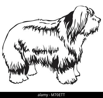 Portrait de décoration de l'article profil de vieux chien de berger anglais, vector illustration en couleur noir isolé sur fond blanc Illustration de Vecteur