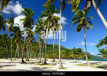La plage de Rincon sur République Dominicaine. Banque D'Images