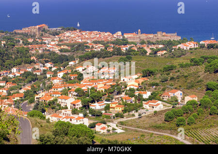 Pyrénées Orientales côte Vermeille paysage, champs de vignes avec le village de Collioure et la mer Méditerranée, au sud de la France, Roussillon Banque D'Images