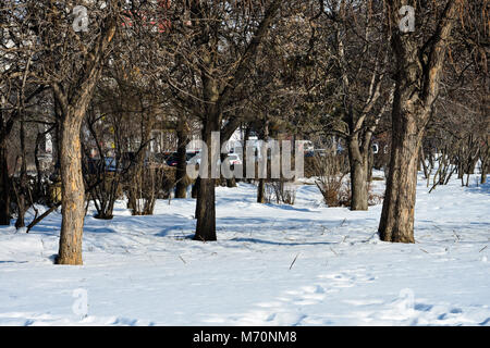 Neige sur une journée ensoleillée à Union Square (Piata Unirii) Bucarest, Roumanie Banque D'Images