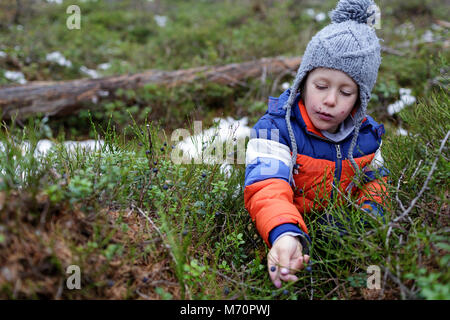 Young boy picking des bleuets dans une forêt, pour atteindre à choisir le bleuet et autour de la bouche sale Banque D'Images