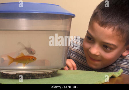 Petit garçon et du poisson rouge Banque D'Images