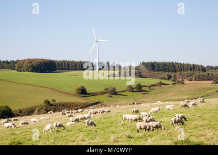 Grand troupeau de moutons paissant ci-dessous une éolienne fournit de l'énergie renouvelable dans un concept d'agriculture durable et de l'industrie et de l'utilisation de natur Banque D'Images