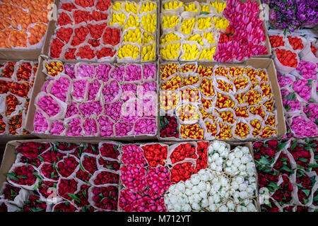 Moscou, Russie. 7 mars, 2018. Tulipes pour vendre au Marché aux Fleurs Rizhsky avant la Journée internationale des femmes à Moscou, Russie Crédit : Nikolay Vinokourov/Alamy Live News Banque D'Images