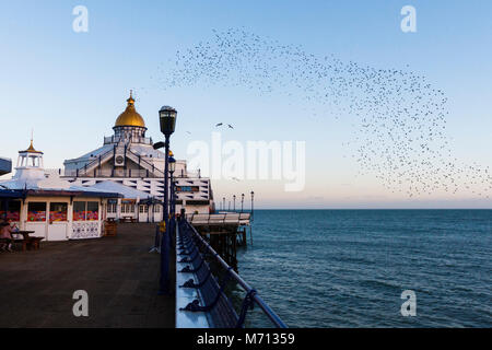 Eastbourne, Royaume-Uni. 07 Mar 2018. Météo britannique. Les étourneaux se percher sur la tête à Eastbourne pier ce soir après une journée claire dans l'East Sussex, Royaume-Uni. Credit : Ed Brown/Alamy Live News Banque D'Images