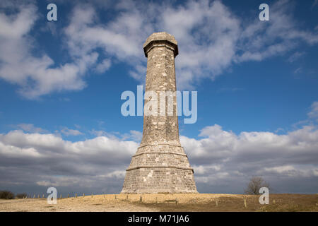 Le Monument à Hardy sur le sommet du noir vers le bas dans le Dorset. Thomas Hardy capitaine du HMS Victory à la bataille de Trafalgar. Banque D'Images