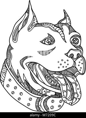Illustration de l'art Doodle chef de pit-bull, American Pit Bull Terrier, American Staffordshire Terrier, American Bully ou Staffordshire Bull Terrier n Illustration de Vecteur