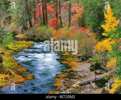 La Gorge Takelma, Rogue River National Wild and Scenic River, Rogue River National Forest, Virginia Banque D'Images