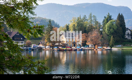 Location de bateaux en bois, le lac de Bled, Slovénie Banque D'Images