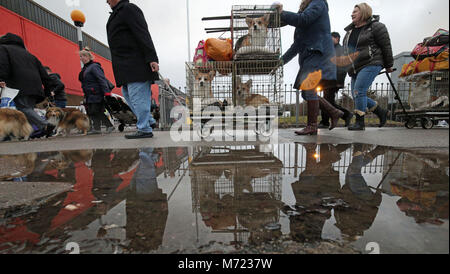 Les chiens et leurs propriétaires arrivent pour le premier jour de Crufts 2018 au NEC de Birmingham. Banque D'Images