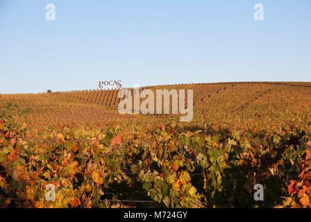 Douro, Portugal - 28 octobre 2012 : vignes en automne de Pocas Douro à vine région. À partir de raisins de la région du Douro Porto vine en produit. Poças est sur Banque D'Images