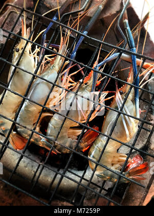 La cuisson des crevettes avec du charbon de bois chaud rivière flaming photo avec un faible éclairage intérieur. Banque D'Images