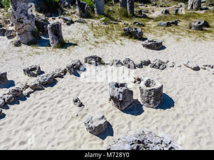 Le phénomène naturel Pobiti Kamani, connue comme la forêt de pierre et Dikilitash, repère naturel dans un lieu sacré près de Varna, Bulgarie Banque D'Images