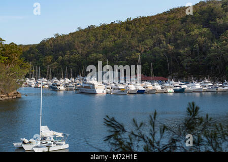 Bateau de plaisance on Empire Cowan Creek à Bobbin Head en bande Ku-ring-gai Chase National Park dans le nord de Sydney. Dans l'arrière-plan sont des eucalyptus Banque D'Images