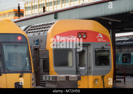 Un ensemble A et V Waratah train stationné à la gare centrale de Sydney. La station centrale est le poste sur le réseau avec 270 000 voyageurs par jour en 2018 Banque D'Images