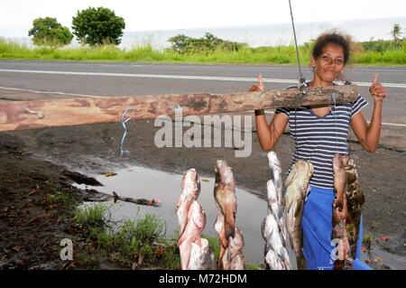 Les poissons sont vendus par la route dans les communautés côtières dans les îles Fidji. Il est pris dans l'après-midi de récifs locaux par les hommes de natation avec les fusils-harpons. Les poissons sont très colorés et sont vendus pour environ vingt cinq dollars Fidji qui est égale à 15 dollars US. Comme les pêcheurs sont pauvres il n'y a aucun moyen de refroidir le poisson, tel qu'il est vendu. Banque D'Images