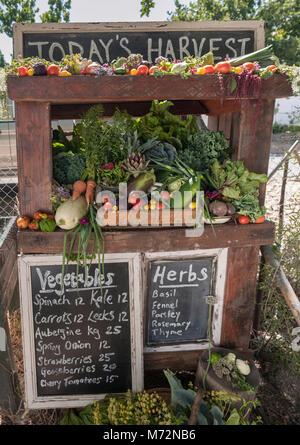 Produire de l'Eglise se cuisine de rue Jardins en Tulbagh. Banque D'Images