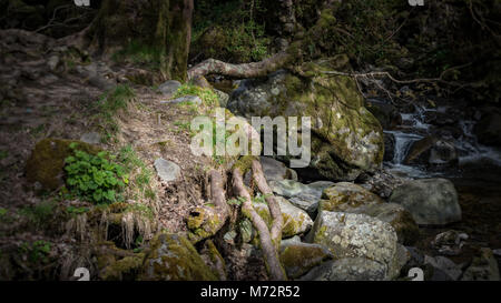 Petite rivière cascade dans la puce, Lake District Banque D'Images