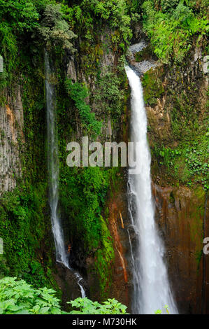 Cascade de Catarata del Toro s'étend à un nombre impressionnant de 270 pieds dans un ancien cratère de volcan sur une réserve privée de 100 hectares ou 250 acres. Banque D'Images