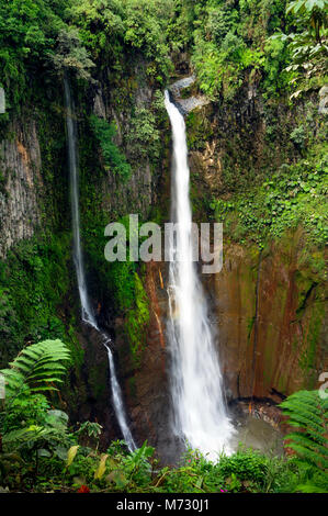 Cascade de Catarata del Toro s'étend à un nombre impressionnant de 270 pieds dans un ancien cratère de volcan sur une réserve privée de 100 hectares ou 250 acres. Banque D'Images