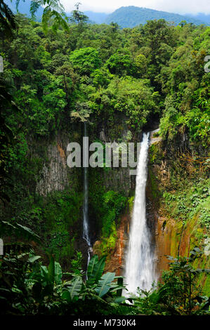 Cascade de Catarata del Toro s'étend à un nombre impressionnant de 270 pieds dans un ancien cratère de volcan sur une réserve privée de 100 hectares ou 250 acres. Banque D'Images