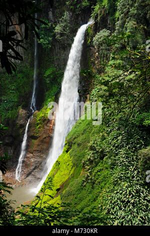 Cascade de Catarata del Toro s'étend à un nombre impressionnant de 270 pieds dans un ancien cratère de volcan sur une réserve privée de 100 hectares ou 250 acres. Banque D'Images