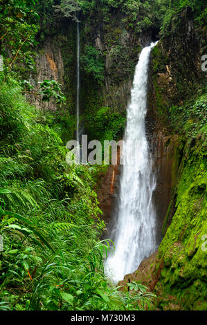 Cascade de Catarata del Toro s'étend à un nombre impressionnant de 270 pieds dans un ancien cratère de volcan sur une réserve privée de 100 hectares ou 250 acres. Banque D'Images