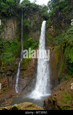 Cascade de Catarata del Toro s'étend à un nombre impressionnant de 270 pieds dans un ancien cratère de volcan sur une réserve privée de 100 hectares ou 250 acres. Banque D'Images