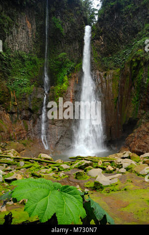 Cascade de Catarata del Toro s'étend à un nombre impressionnant de 270 pieds dans un ancien cratère de volcan sur une réserve privée de 100 hectares ou 250 acres. Banque D'Images