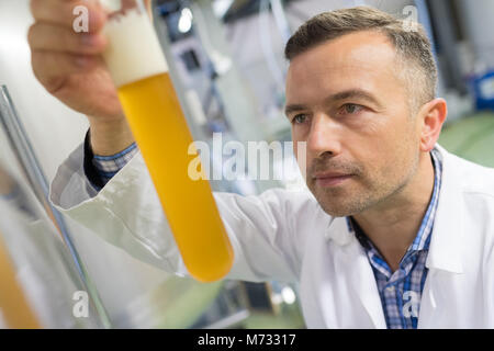 Fabricant d'examiner la bière dans la brasserie au tube à essai Banque D'Images