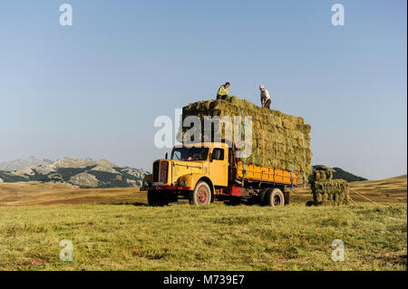 Image panoramique de vie dans les pays des Balkans, les agriculteurs au Monténégro stacking hay en hauteur sur un vieux camion jaune avec mountainlandscape dans l'arrière-plan Banque D'Images