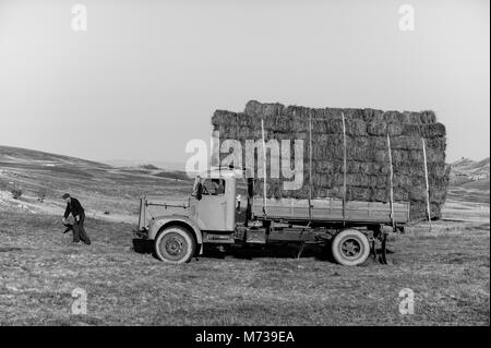 Image panoramique de vie dans les pays des Balkans, les agriculteurs au Monténégro stacking hay en hauteur sur un vieux camion jaune avec mountainlandscape dans l'arrière-plan Banque D'Images