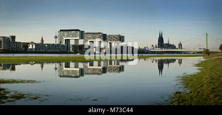 Cologne (Köln) sur le Rhin après les inondations. Poller Wiesen encore sous l'eau. Réflexions d'Kranhäuser de Rheinauhafen Banque D'Images