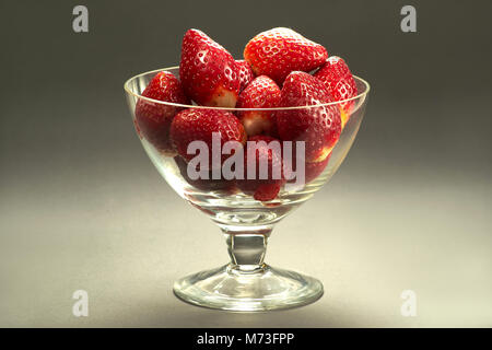 Les fraises dans une coupe en verre sur un fond gris, studio Banque D'Images