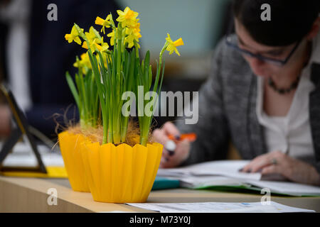 08 mars 2018, l'Allemagne, Stuttgart : Fleurs debout devant un député du parlement de l'Etat allemand. Le Président de l'État allemand, le parlement de l'Aras Alliance 90/Les Verts fleurs distribuées parmi les femmes députés à l'occasion de la Journée internationale de la femme. Photo : Sina Schuldt/dpa Banque D'Images