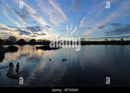 Bushy Park, SW London, Royaume-Uni. Mar 8, 2018. Météo France : joli coucher du soleil à Bushy Park, au sud ouest de Londres. Credit : Julia Gavin/Alamy Live News Banque D'Images