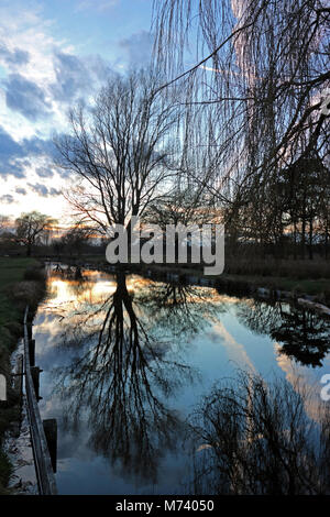 Bushy Park, SW London, Royaume-Uni. Mar 8, 2018. Météo France : joli coucher du soleil à Bushy Park, au sud ouest de Londres. Credit : Julia Gavin/Alamy Live News Banque D'Images