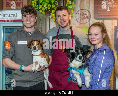 Birmingham, UK. 8Th Mar, 2018.Le professeur Green faisant un photocall sur le Benyfit à ce peuplement naturel ans Crufts Dog Show à NEC Birmingham. Crédit : charlie bryan/Alamy Live News Banque D'Images